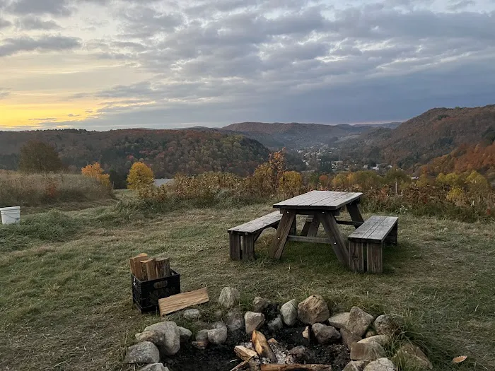 Free Verse Campground Picture 6