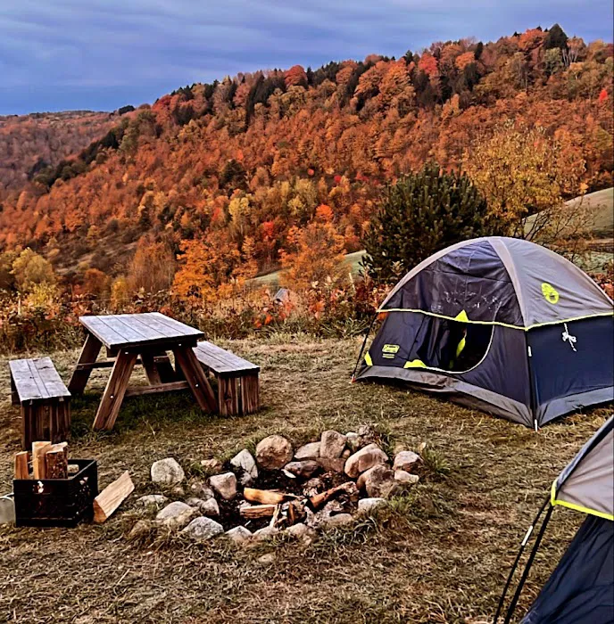 Free Verse Campground Picture 7