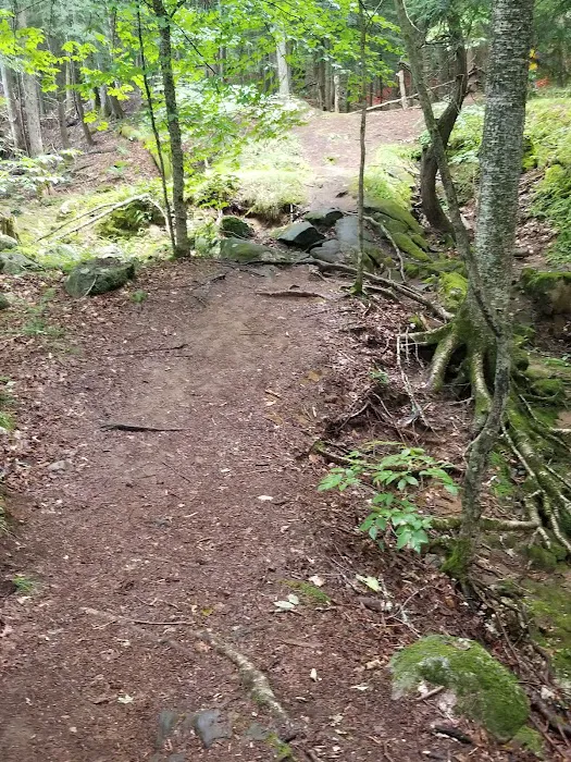 Camp Waubeeka Picture 4