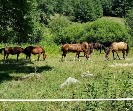 STEM Ranch