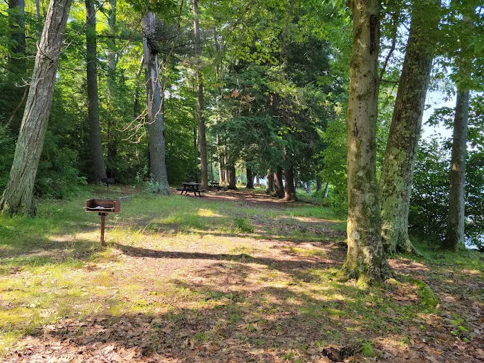 Lake George Island Camping Picture 7