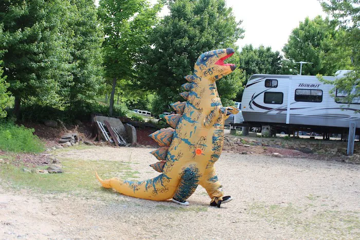 Village Green Family Campground Picture 3