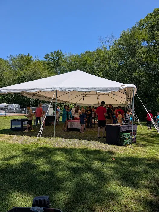 Mineral Springs Family Campground Picture 3