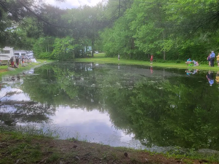Mineral Springs Family Campground Picture 2