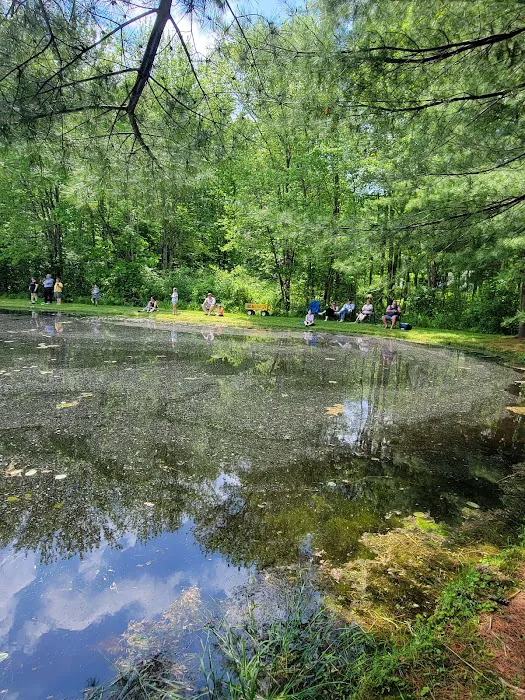 Mineral Springs Family Campground Picture 5