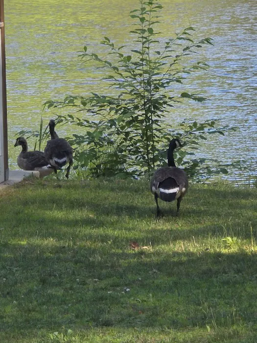 Pine lake campground Picture 8