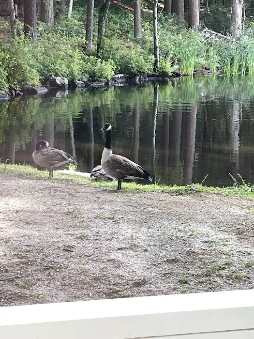 Pine lake campground Picture 10