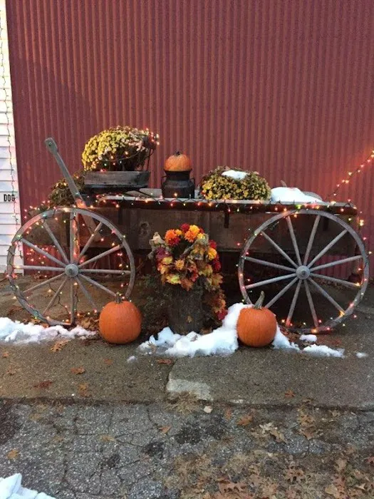 Wagon Wheel Mobile Home Park Picture 2