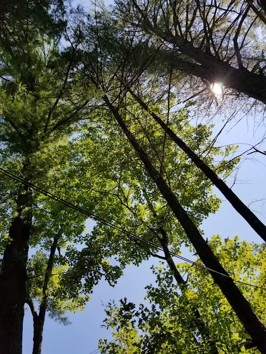 Laurel Lake Campgrounds Picture 7