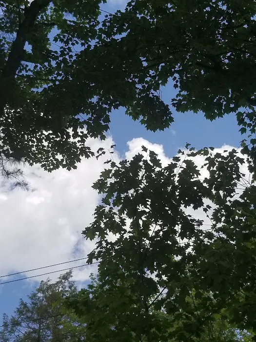 Laurel Lake Campgrounds Picture 4