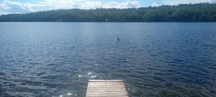 Laurel Lake Campgrounds Picture 1