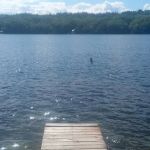 Laurel Lake Campgrounds