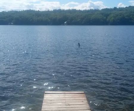 Laurel Lake Campgrounds