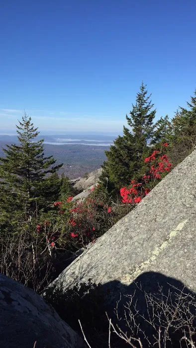 Hunter's State Line Campground-Variety Picture 10
