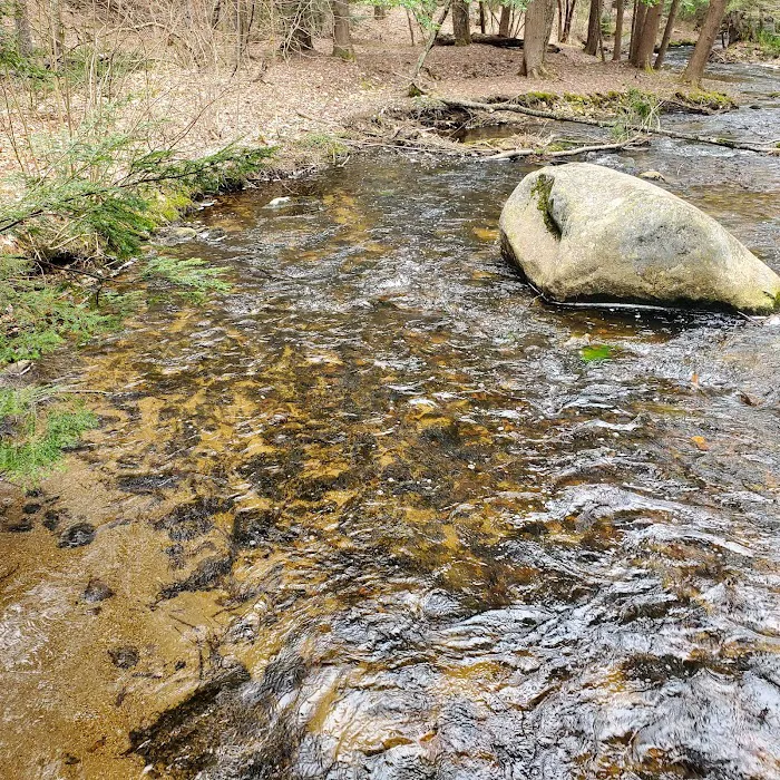 Otter River Campground Picture 10