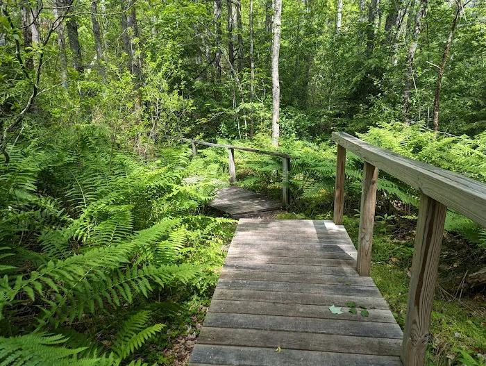 Otter River Campground Picture 9