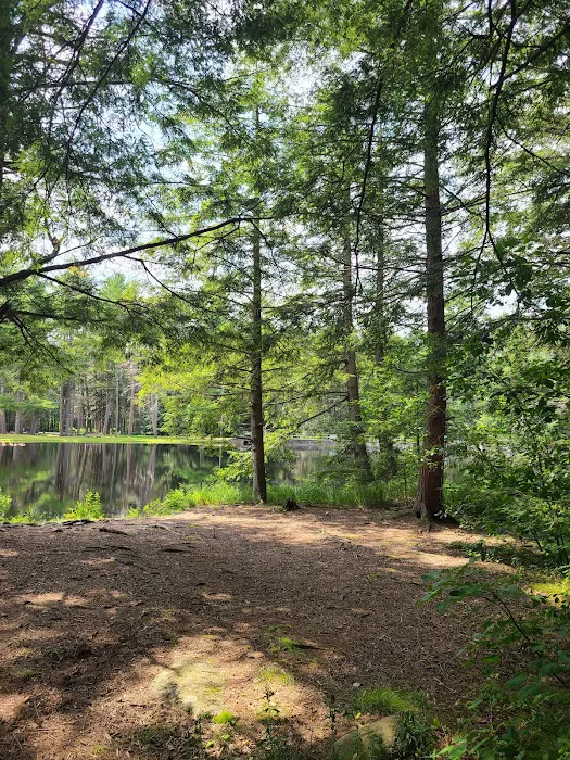 Otter River Campground Picture 5