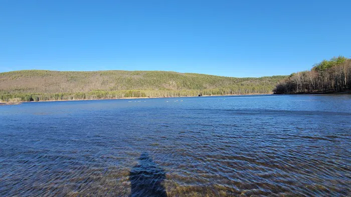 Surry Mountain Camp Ground Picture 2