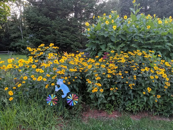 Jacobs Brook Campground Picture 3