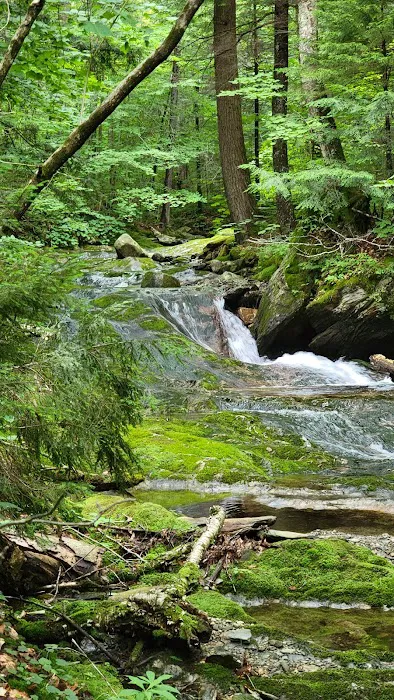 Chittenden Brook Campground Picture 10