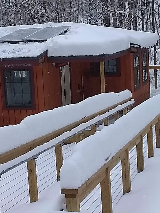 Chittenden Brook Campground Picture 5