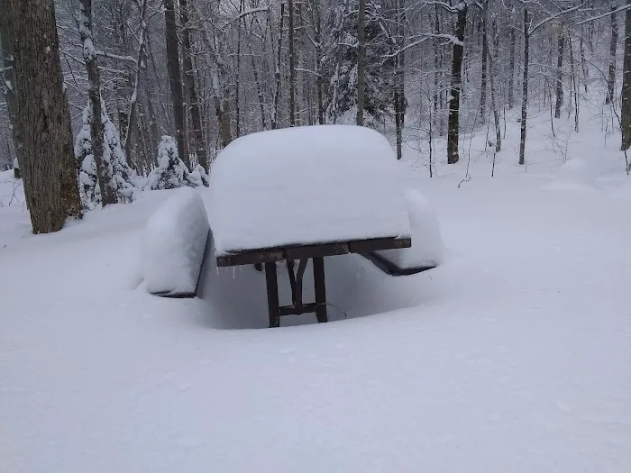 Chittenden Brook Campground Picture 4