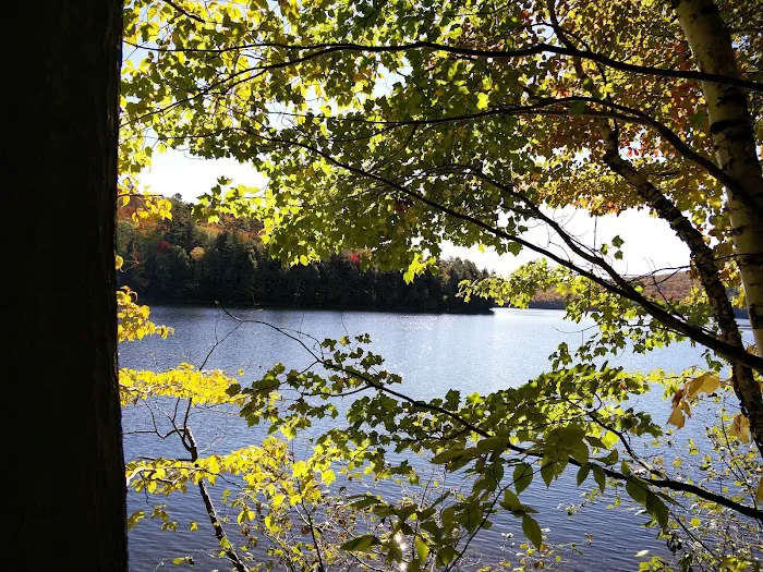Silver Lake Campground Picture 3