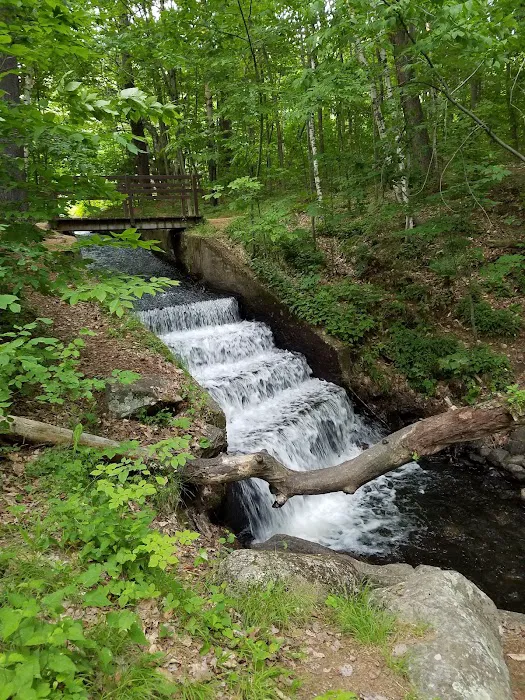 Silver Lake Campground Picture 7