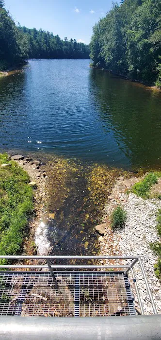 Silver Lake Campground Picture 8