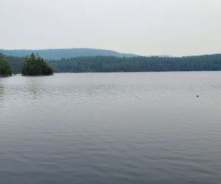 Pharaoh Lake Campsite near Pharaoh Mtn Trail Jct