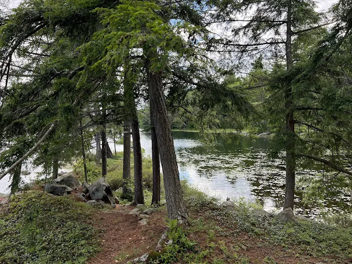 Pharaoh Lake Campsite near Pharaoh Mtn Trail Jct Picture 6
