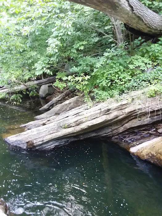 Green Acres By the Brook Picture 2