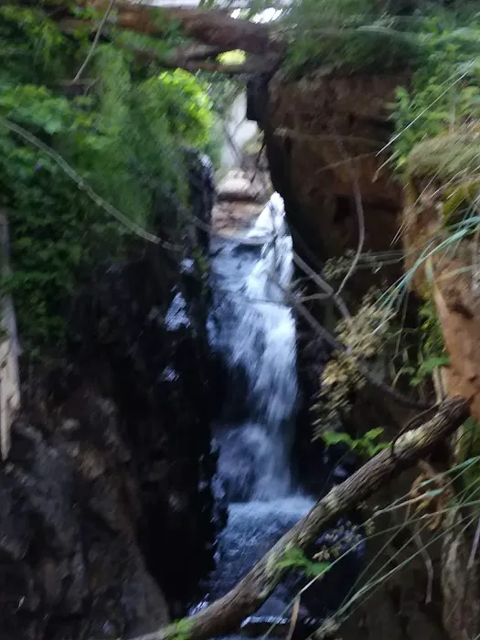 Green Acres By the Brook Picture 10