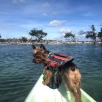 Temple Knoll Island