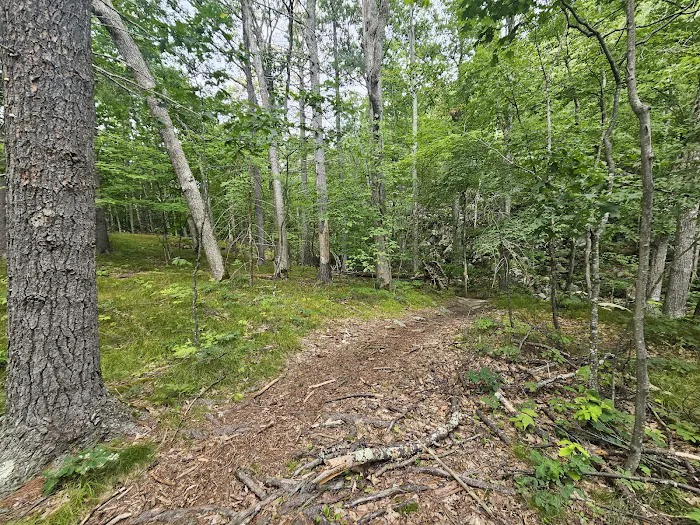 Rogers Rock Campground Picture 2