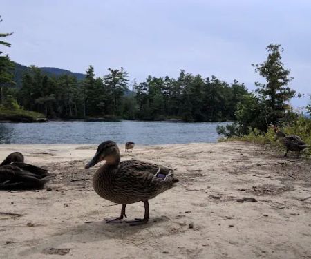 Mother Bunch Island Campgrounds #1-2