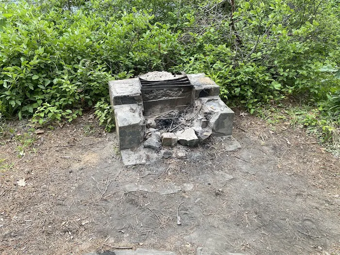 Cooper Island Campground Picture 6