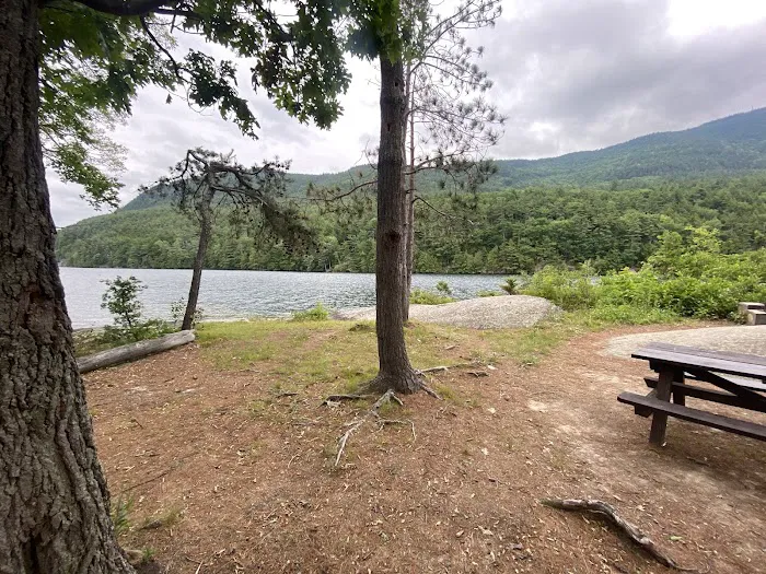 Cooper Island Campground Picture 1
