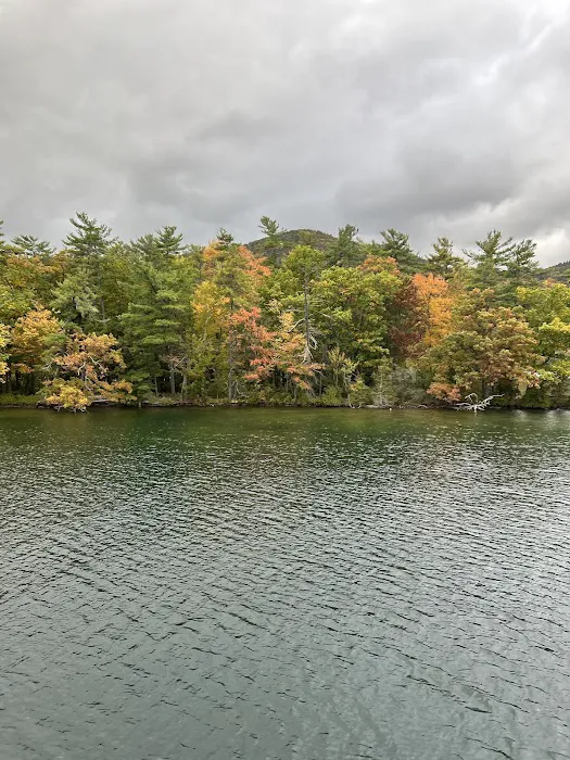 Fox Island Campground #1 Picture 6