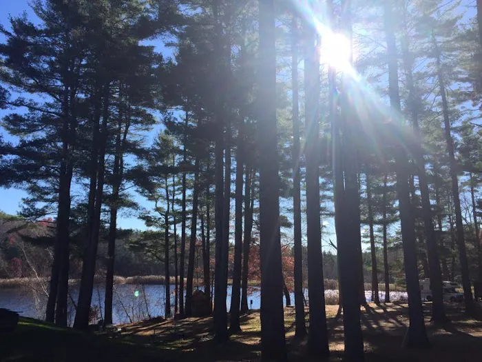 Wilderness Lake Campground & Resort Picture 5