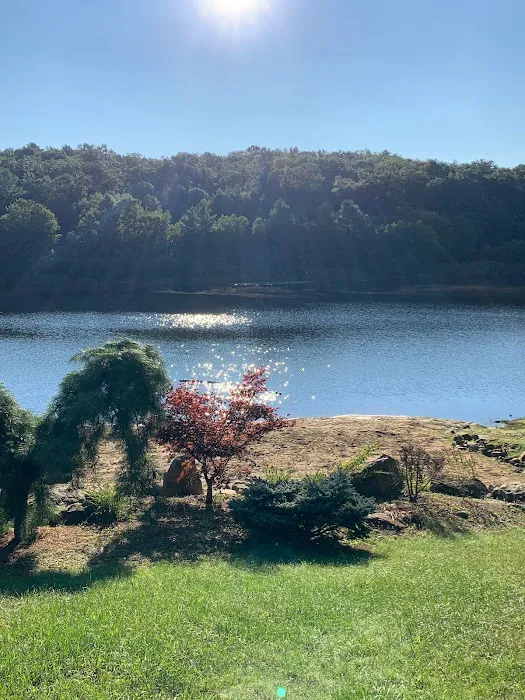 Wilderness Lake Campground & Resort Picture 9