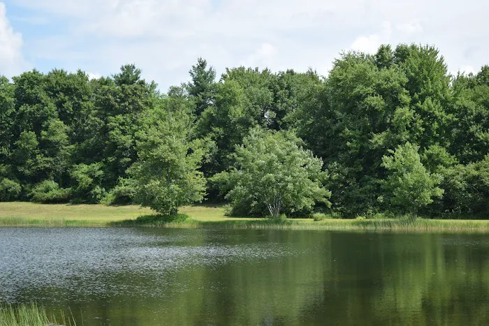 The Quarry Campground Picture 6