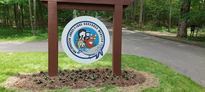June Norcross Webster Scout Reservation Picture 3