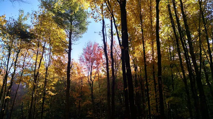Beaver Pines Campground Picture 6