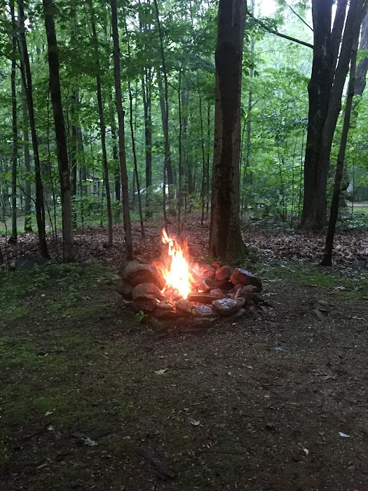 Chamberlain Lake Campground Picture 10