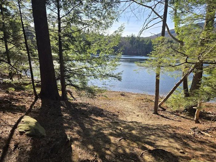 Gilson Pond Campground Picture 5
