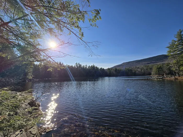Gilson Pond Campground Picture 4