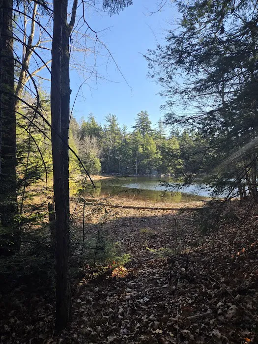Gilson Pond Campground Picture 8