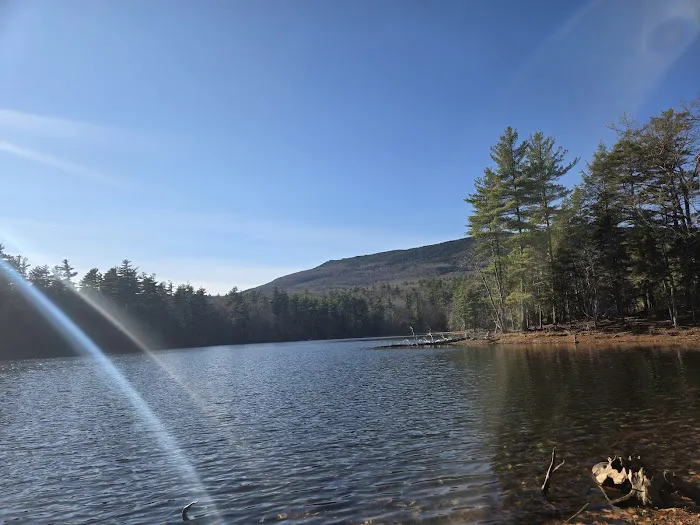 Gilson Pond Campground Picture 2