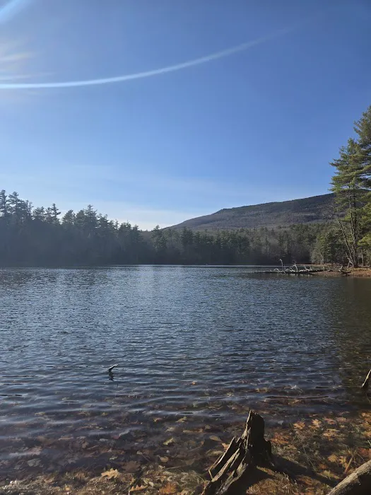 Gilson Pond Campground Picture 1